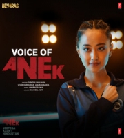 Voice Of Anek