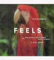 Calvin Harris Ft. Pharrell Williams, Katy Perry, Big Sean - Feels